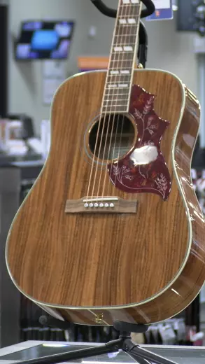 Epiphone - Limited Edition Hummingbird Koa Top 2